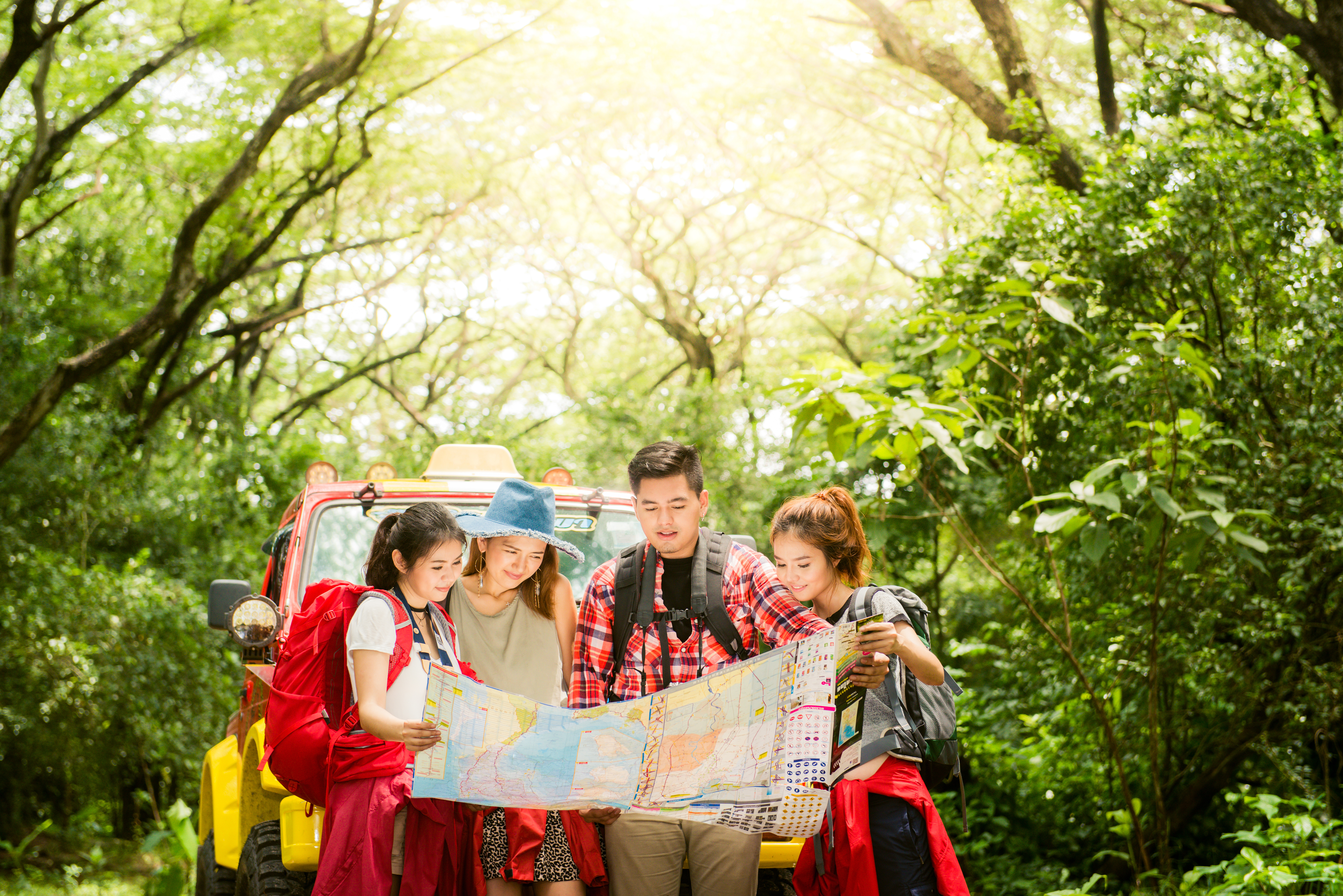 hiking hikers looking map couple friends navigating together smiling happy camping travel hike outdoors forest young mixed race asian woman man