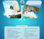 Find Money and Holiday Services Pvt. Ltd. Anna Nagar, Chennai