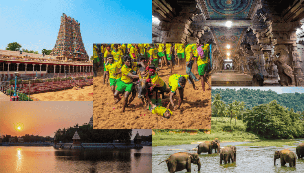Meenakshi Amman Temple Madurai