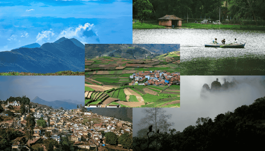 Ooty Nilgiri Botanical Garden